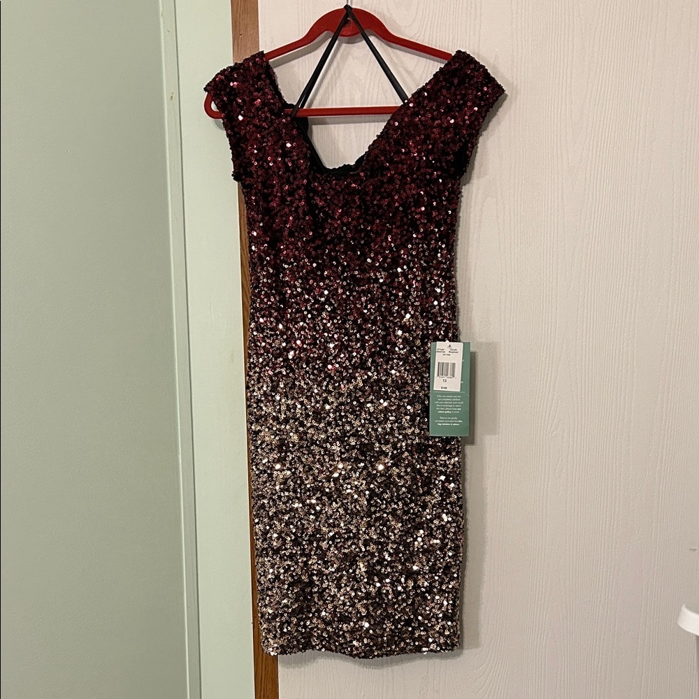 B. Smart Sequin Ombre Dress Size 13